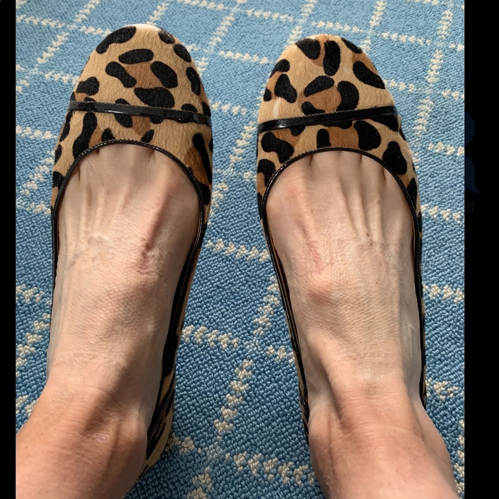 Cheetah Coach Flats